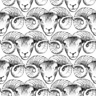 Sketch New Year ram in vintage style N47