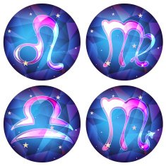 zodiac signs in the form of a crystal vector set