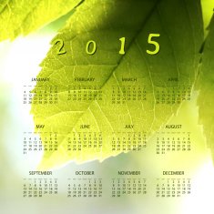 Calendar Template for Year 2015 with Natural Theme