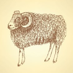Sketch New Year ram in vintage style N11