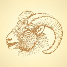 Sketch New Year ram in vintage style N17