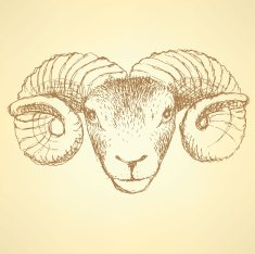 Sketch New Year ram in vintage style N24