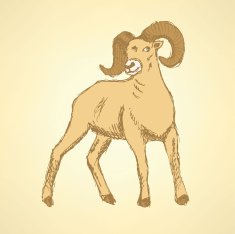 Sketch New Year ram in vintage style N31