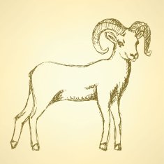Sketch New Year ram in vintage style N37