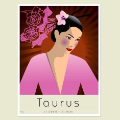 Taurus N2