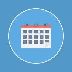 Calendar Icon N161