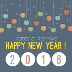 2016 Happy new year N2