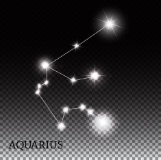 Aquarius Zodiac Sign of the Beautiful Bright Stars Vector Illust N4