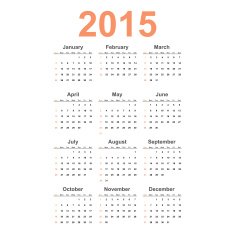 Vector simple calendar 2015 year N2
