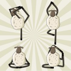 Yoga sheep standing in different poses