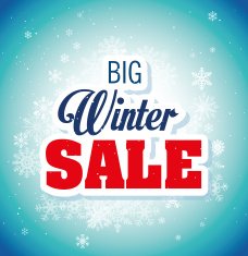 Winter design vector illustration N15