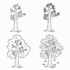Coloring book (Four Seasons) vector set of trees