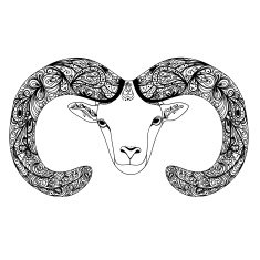 Symbol goat sheep for Chinese New Year with decorative horn