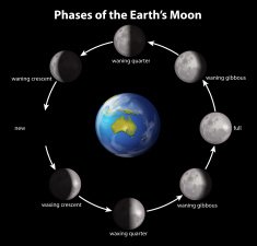 Phases of the Earth's Moon N2