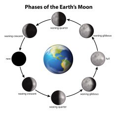 Phases of the Earth's Moon N3