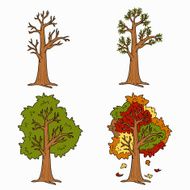 Four Seasons vector set of trees