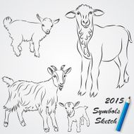 Vector sketch drawing of goats Chinese 2015 new year symbol