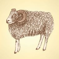 Sketch New Year ram in vintage style N48