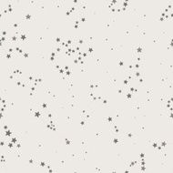 Stars zodiac signs with names in night sky