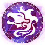Leo Zodiac Sign N4