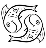 Pisces isolated on white