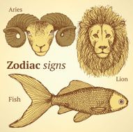 Sketch zodiac ram fish and lion