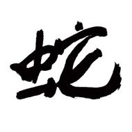 Snake chinese calligraphy N3