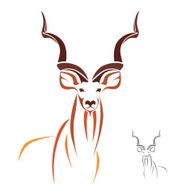 Greater Kudu has