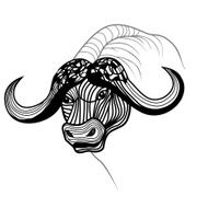 Buffalo bull head vector animal illustration