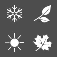 Vector Set of Seasons Icons N13