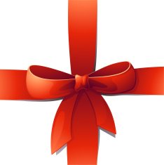 New Red Bow - 2009 Collection