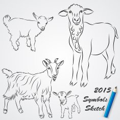 Vector sketch drawing of goats Chinese 2015 new year symbol