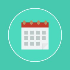 Calendar Icon N234