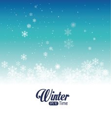 Winter design vector illustration N25