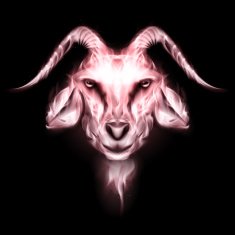Goat N7