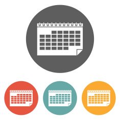 Calendar Icon N249