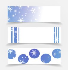 Winter banner set with snow flakes vector