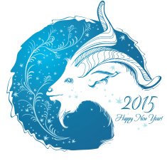 Year of Goat N2