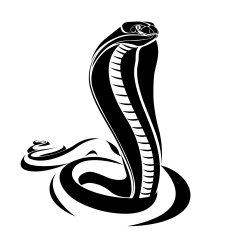 Snake Vector N4