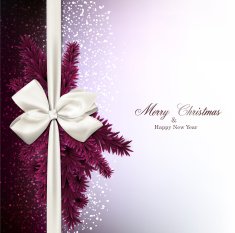 Christmas background with fir branches and baw N2