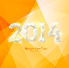 New Year 2014 N41