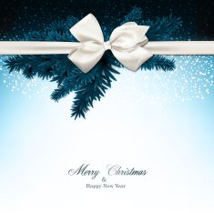 Christmas background with fir branches and baw N3