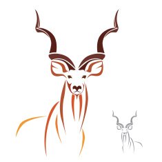 Greater Kudu has
