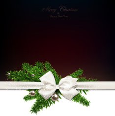 Christmas background with fir branches and baw N4