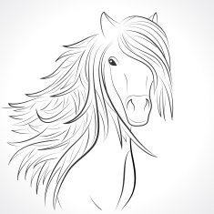 Sketch of horse head with flying mane on white Vector