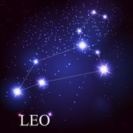 leo zodiac sign of the beautiful bright stars N2