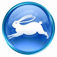 Rabbit Zodiac icon blue isolated on white background