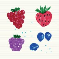 Felt pen fruit doodles set N2