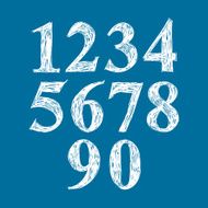Calligraphic numbers vector numeration