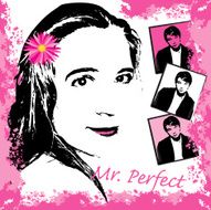 Mr Perfect